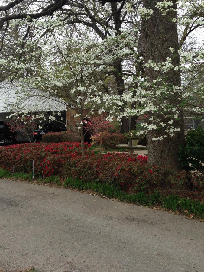 Dogwood Springs Lodgings Mineola Dış mekan fotoğraf