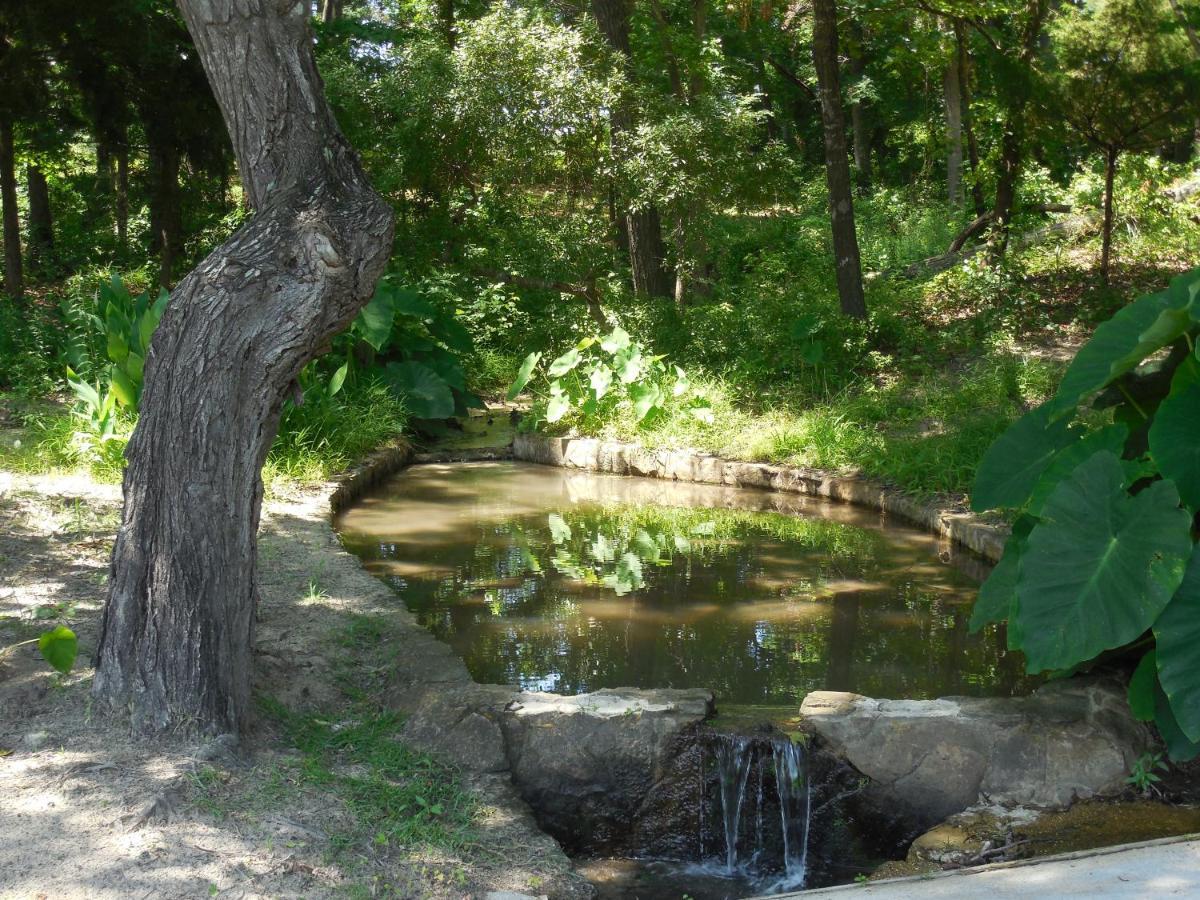 Dogwood Springs Lodgings Mineola Dış mekan fotoğraf