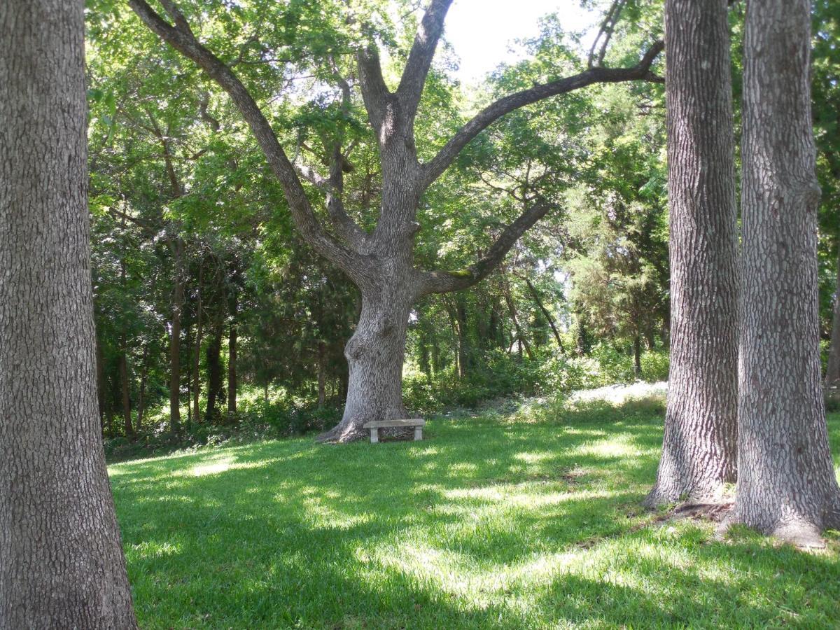 Dogwood Springs Lodgings Mineola Dış mekan fotoğraf